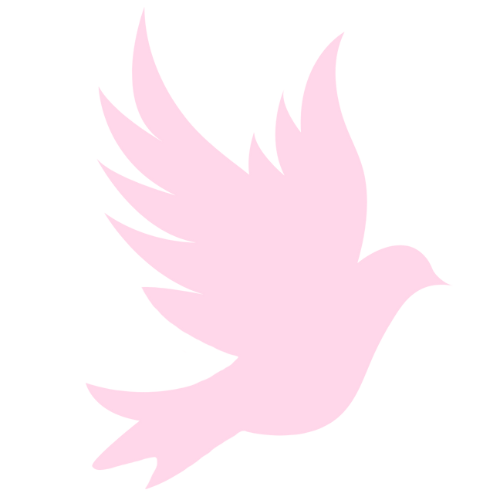Pink Pigeon Boutique