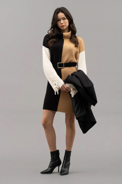 Black, Tan and Cream Color Block Sweater Dress (Includes Plus!)