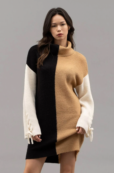 Black, Tan and Cream Color Block Sweater Dress (Includes Plus!)